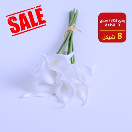 زنبق ( كالا )