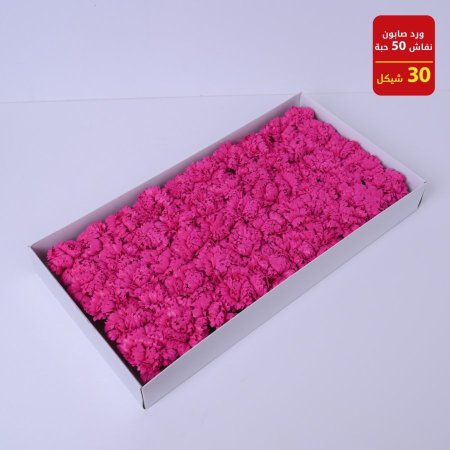 ورد صابونة نفاش