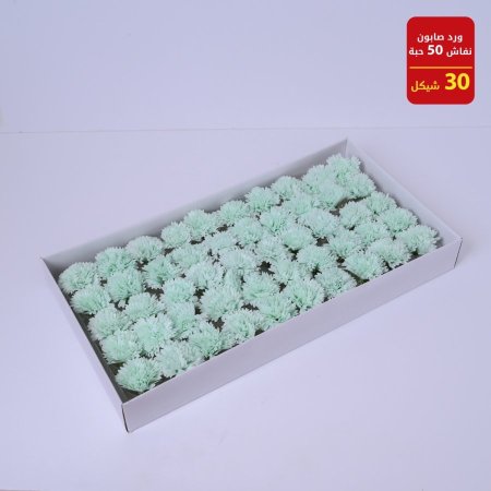 ورد صابونة نفاش