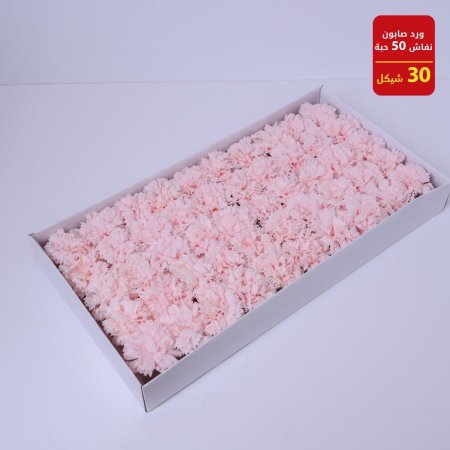 ورد صابونة نفاش