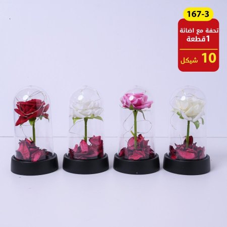 تحفة مع اضائة