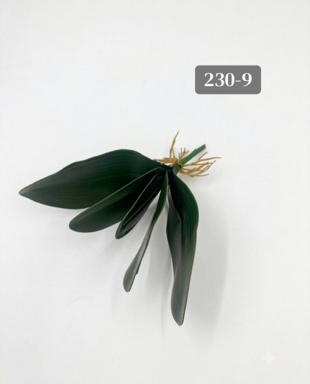 عرق خضار