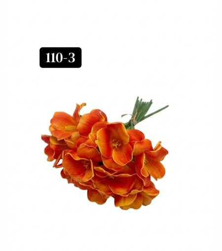 زعفران ربيعي "10 وردات"
