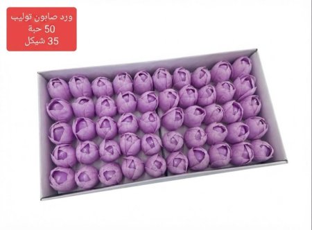 ورد صابون توليب