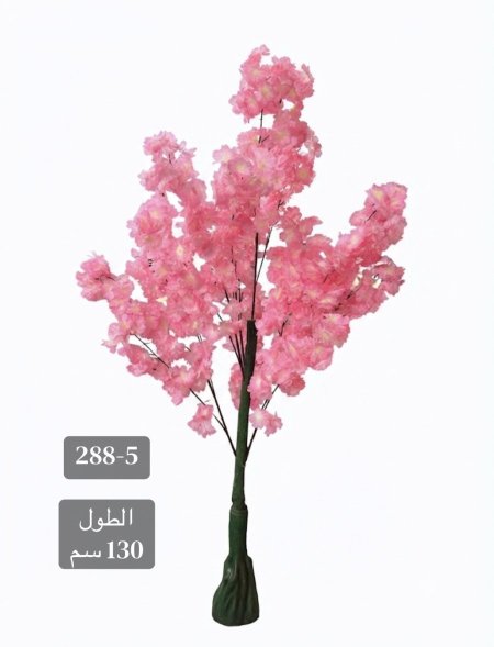شجرة لوز