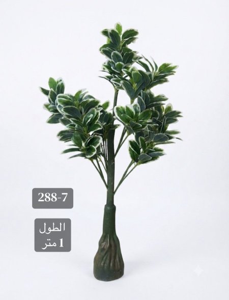 شجر