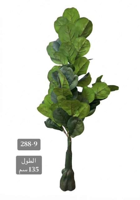 شجر