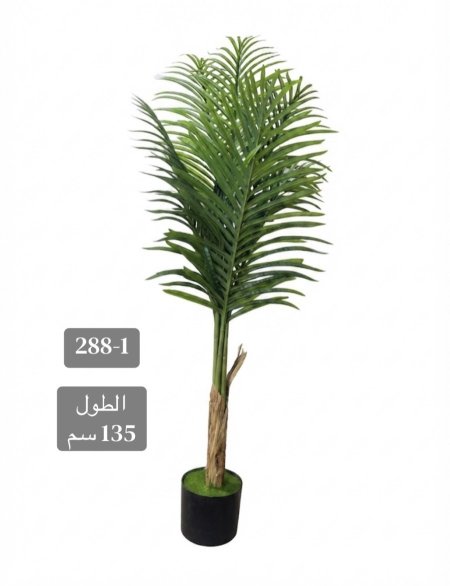 شجر