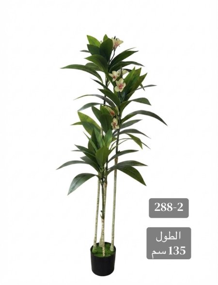 شجرة ورد