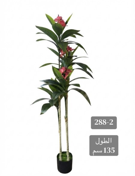 شجرة ورد