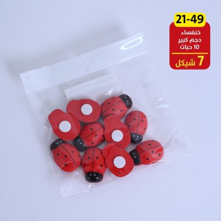 اكسسورات خنفساء