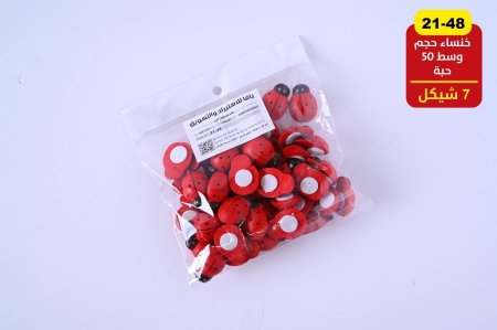 اكسسورات خنفساء