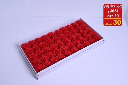 ورد صابونة نفاش