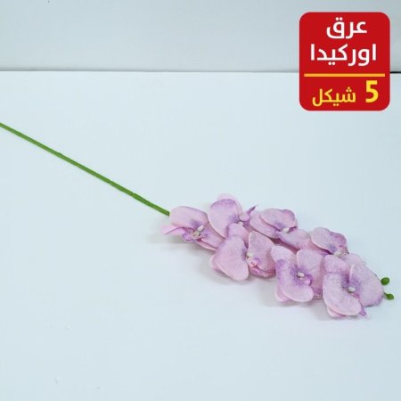 عرق اوركيدا