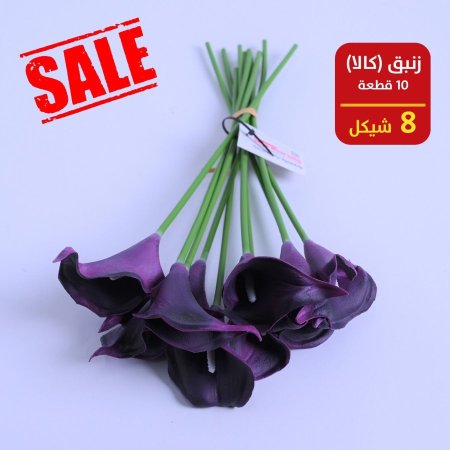 زنبق ( كالا )