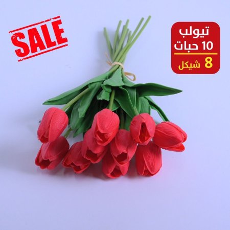 توليب
