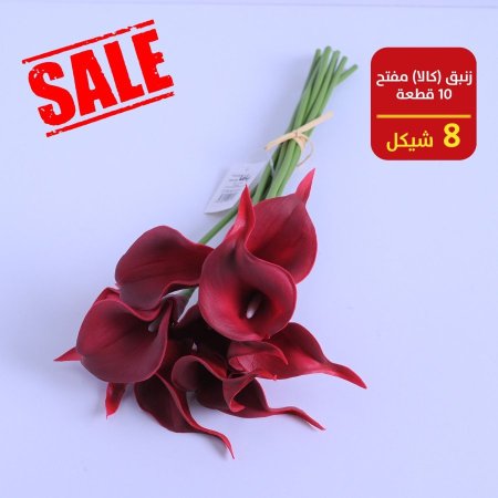 زنبق ( كالا )